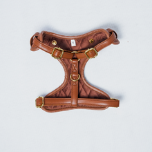 Load image into Gallery viewer, SIGNATURE HARNESS - BUTTERSCOTCH BLISS