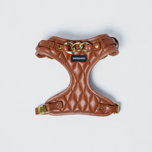 Load image into Gallery viewer, SIGNATURE HARNESS - BUTTERSCOTCH BLISS