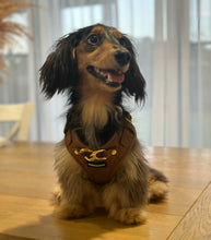 Load image into Gallery viewer, SIGNATURE HARNESS - BUTTERSCOTCH BLISS