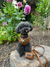 Load image into Gallery viewer, SIGNATURE HARNESS - BUTTERSCOTCH BLISS