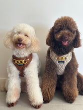 Load image into Gallery viewer, SIGNATURE HARNESS - BUTTERSCOTCH BLISS