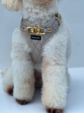 Load image into Gallery viewer, SIGNATURE HARNESS - PEBBLE CREME