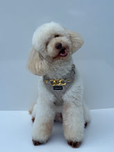 Load image into Gallery viewer, SIGNATURE HARNESS - PEBBLE CREME