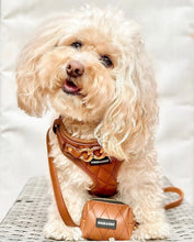 Load image into Gallery viewer, SIGNATURE HARNESS - BUTTERSCOTCH BLISS