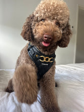 Load image into Gallery viewer, SIGNATURE HARNESS - MIDNIGHT ONYX