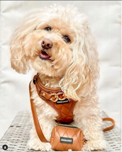 Load image into Gallery viewer, BUTTERSCOTCH BLISS - COMPLETE SET