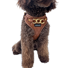 Load image into Gallery viewer, SIGNATURE HARNESS - BUTTERSCOTCH BLISS