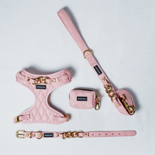 Load image into Gallery viewer, ROSE BLUSH - COMPLETE SET