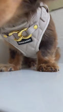 Load and play video in Gallery viewer, SIGNATURE HARNESS - PEBBLE CREME