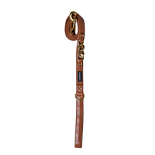 Load image into Gallery viewer, SIGNATURE LEASH - BUTTERSCOTCH BLISS
